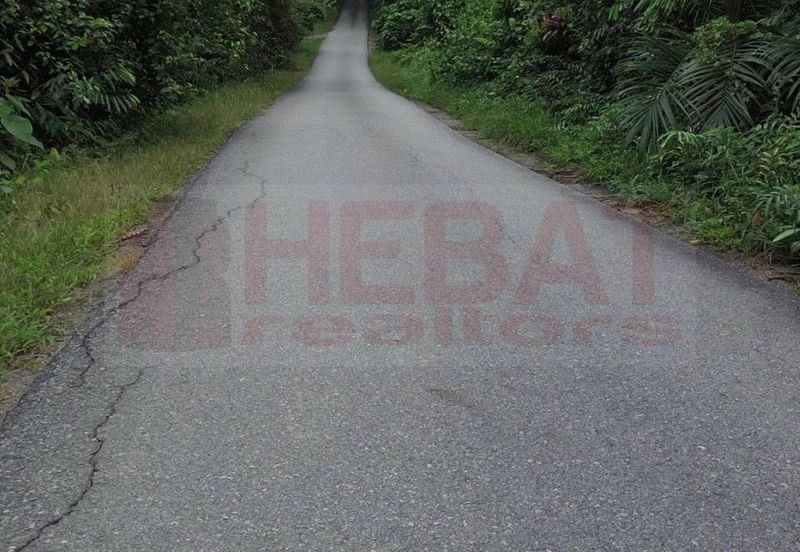 Tanah sawit murah seberang temerloh