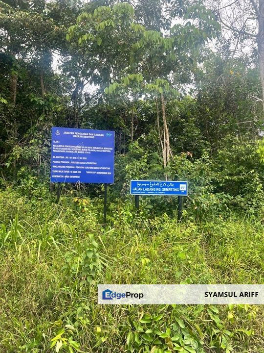 Tanah Sawit matang simpang Pelangai, Pahang, Bentong