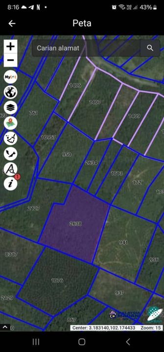 Tanah Sawit matang simpang Pelangai, Pahang, Bentong