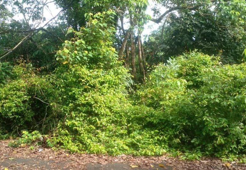 Tanah lot rumah banglo di bukit serdang rompin