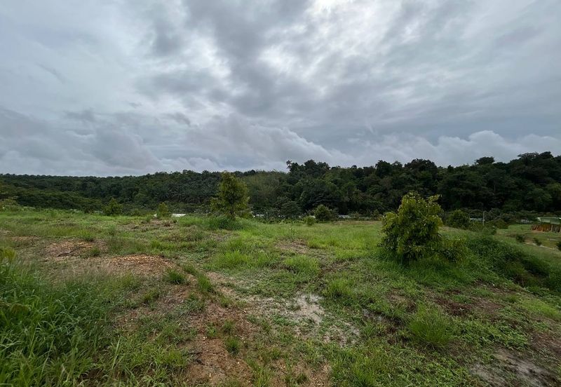 Kebun Durian siap kolam ikan cerun bukit di Bera