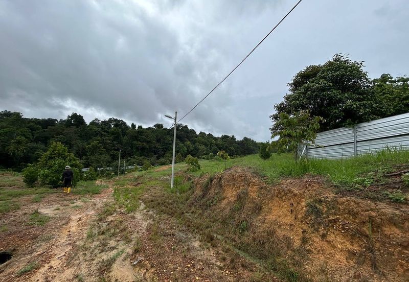 Kebun Durian siap kolam ikan cerun bukit di Bera