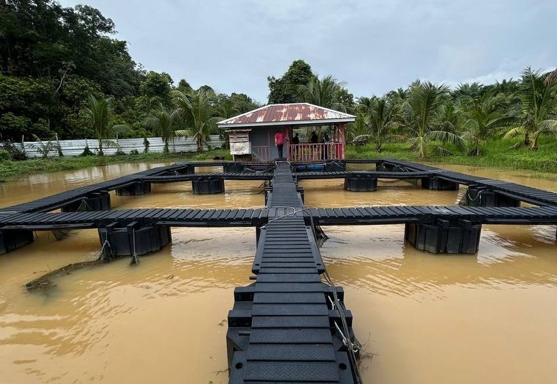 Kebun Durian siap kolam ikan cerun bukit di Bera