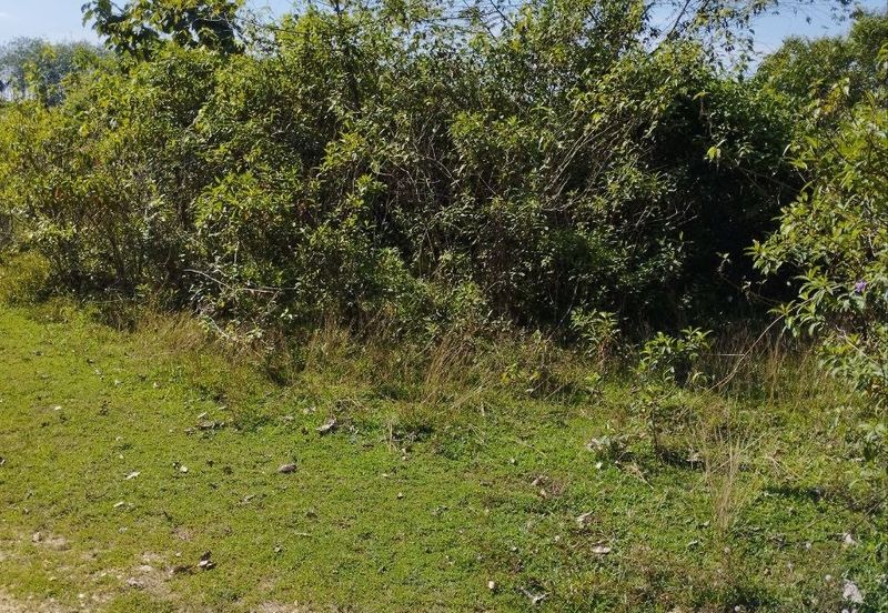 Tanah Kosong Mukim Semantan Temerloh