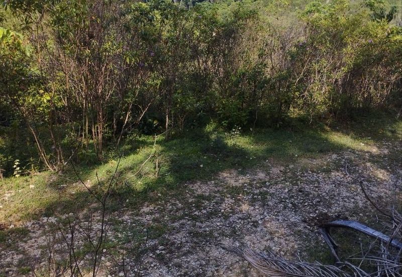 Tanah Kosong Mukim Semantan Temerloh