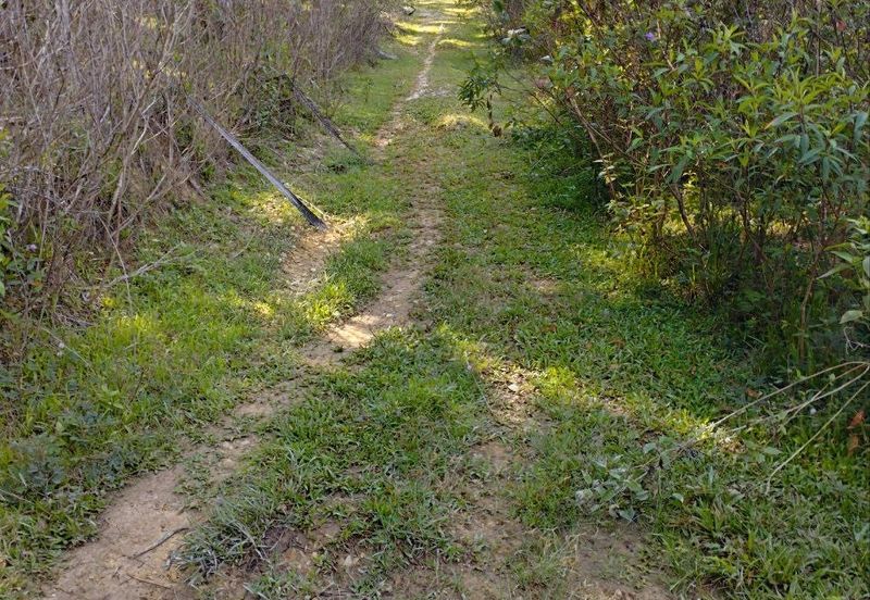 Tanah Kosong Mukim Semantan Temerloh