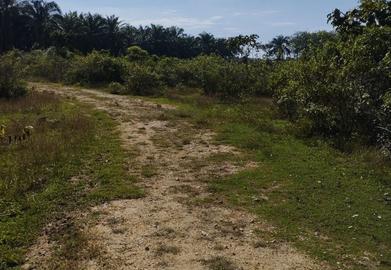 Tanah Kosong Mukim Semantan Temerloh