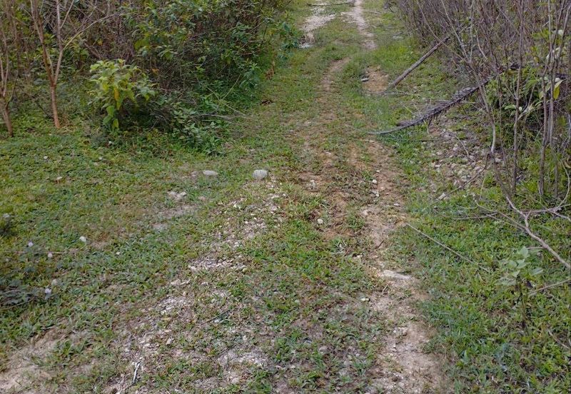 Tanah Kosong Mukim Semantan Temerloh