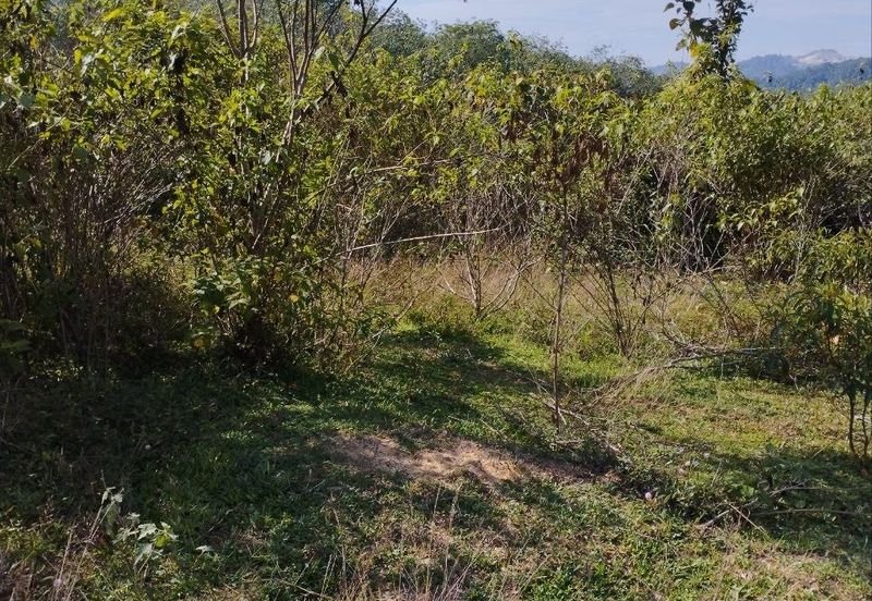 Tanah Kosong Mukim Semantan Temerloh