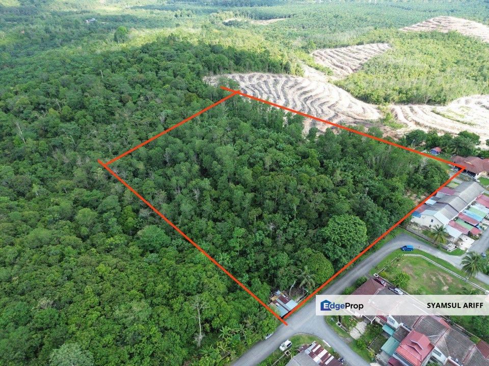 Tanah sawit Bukit Kuin Maran Pahang, Pahang, Maran Mengkarak