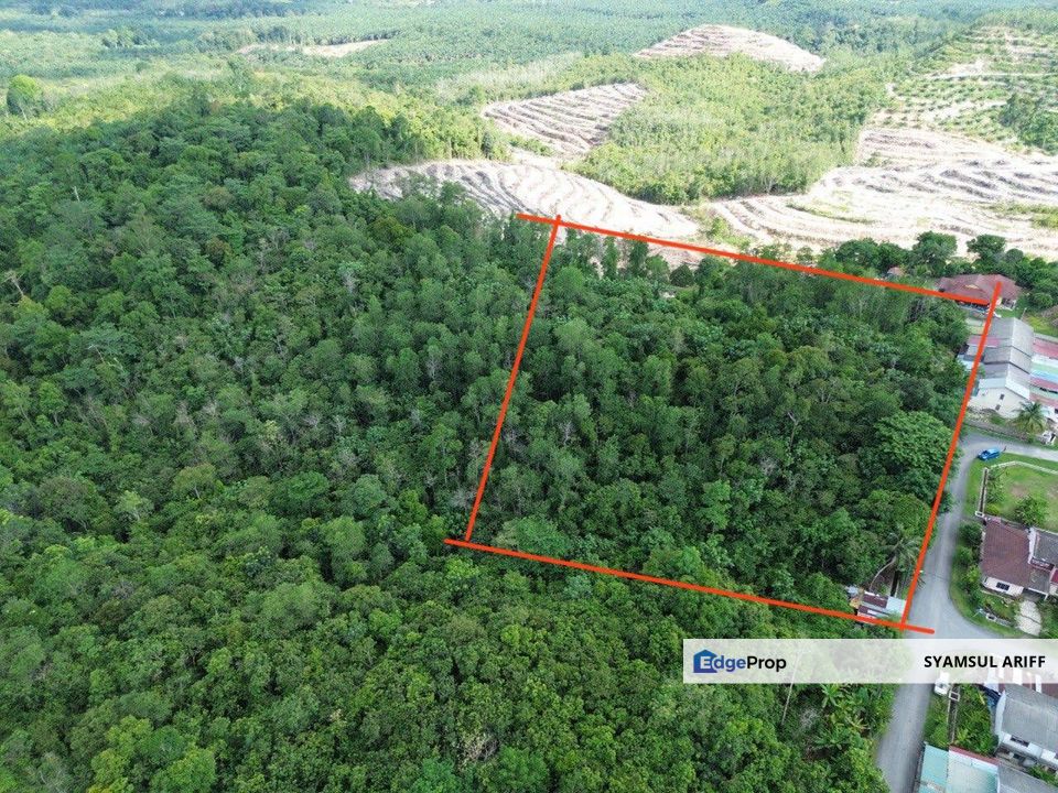 Tanah sawit Bukit Kuin Maran Pahang, Pahang, Maran Mengkarak
