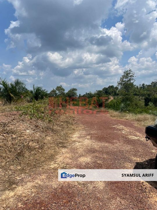 Tanah Kebun Di Padang Golf Bera Belengu Untuk Dijual, Pahang, Bera