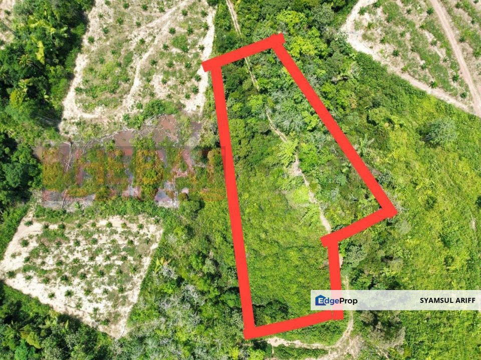 Tanah Kebun Di Padang Golf Bera Belengu Untuk Dijual, Pahang, Bera