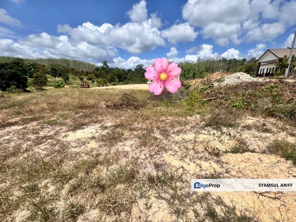 Tanah Lot Banglo Rumah Desa Murni Temerloh untul dijual, Pahang, Temerloh