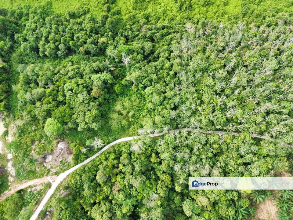 Tanah Lot Banglo RTK Tualang Temerloh untuk jual, Pahang, Temerloh