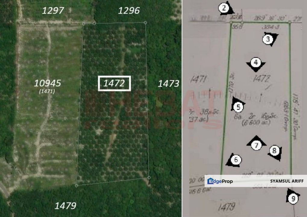 Tanah Sawit Simpang Pelangai Bentong untuk Dijual, Pahang, Bentong