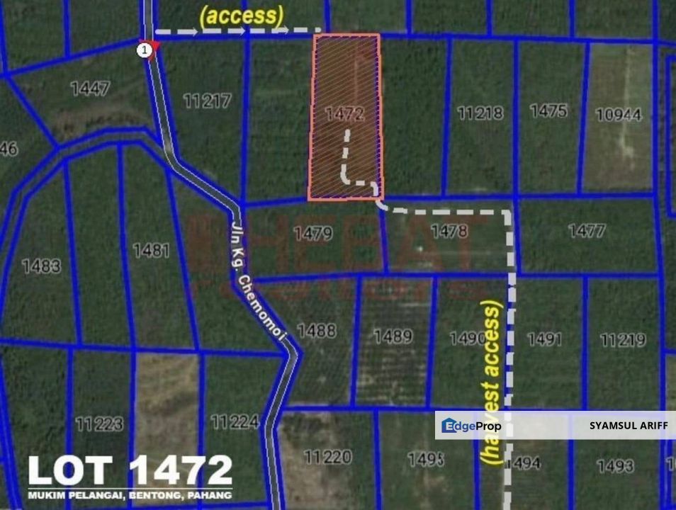 Tanah Sawit Simpang Pelangai Bentong untuk Dijual, Pahang, Bentong