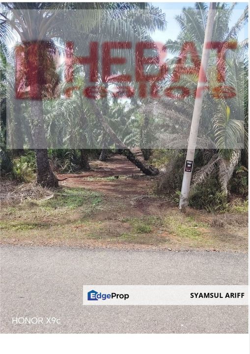 Tanah Pertanian Bedena Sabak Bernam Selangor, Selangor, Sungai Besar