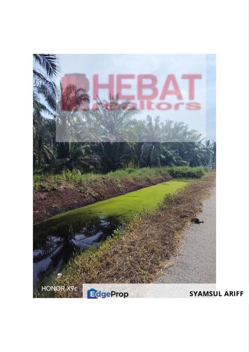 Tanah Pertanian Bedena Sabak Bernam Selangor, Selangor, Sungai Besar