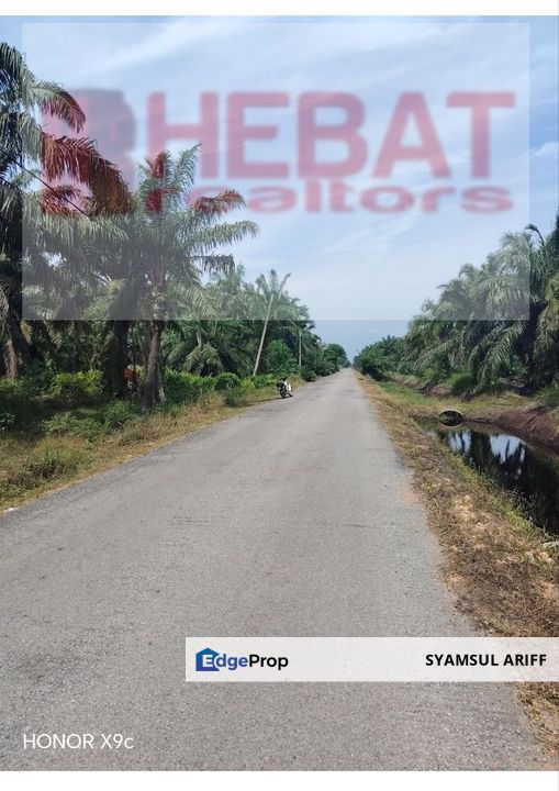 Tanah Pertanian Bedena Sabak Bernam Selangor, Selangor, Sungai Besar