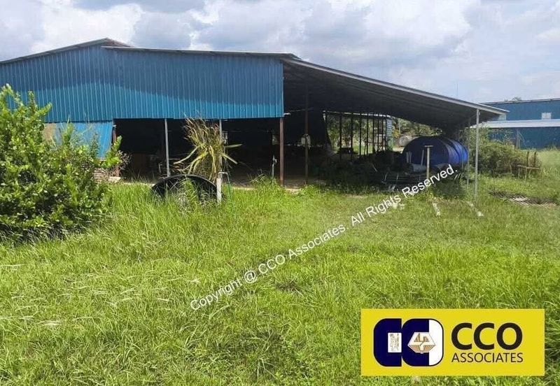 [For Sale] Perak Jeram 2.22 Acre Durian Farm
