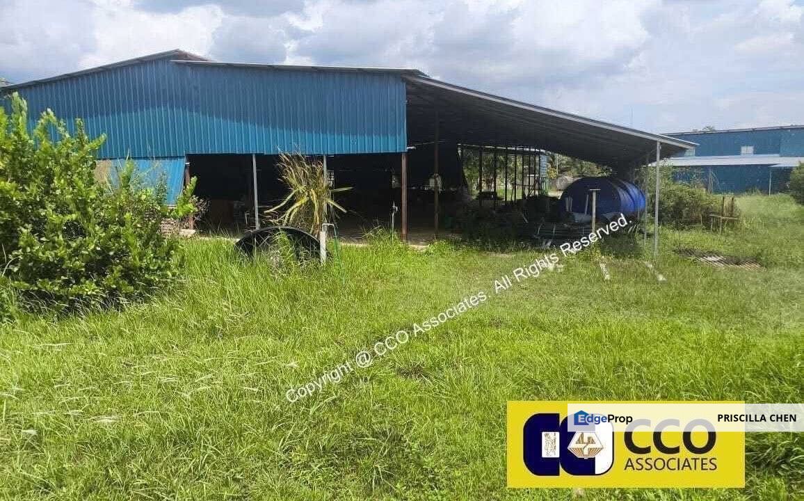[For Sale] Perak Jeram 2.22 Acre Durian Farm, Perak, Ipoh