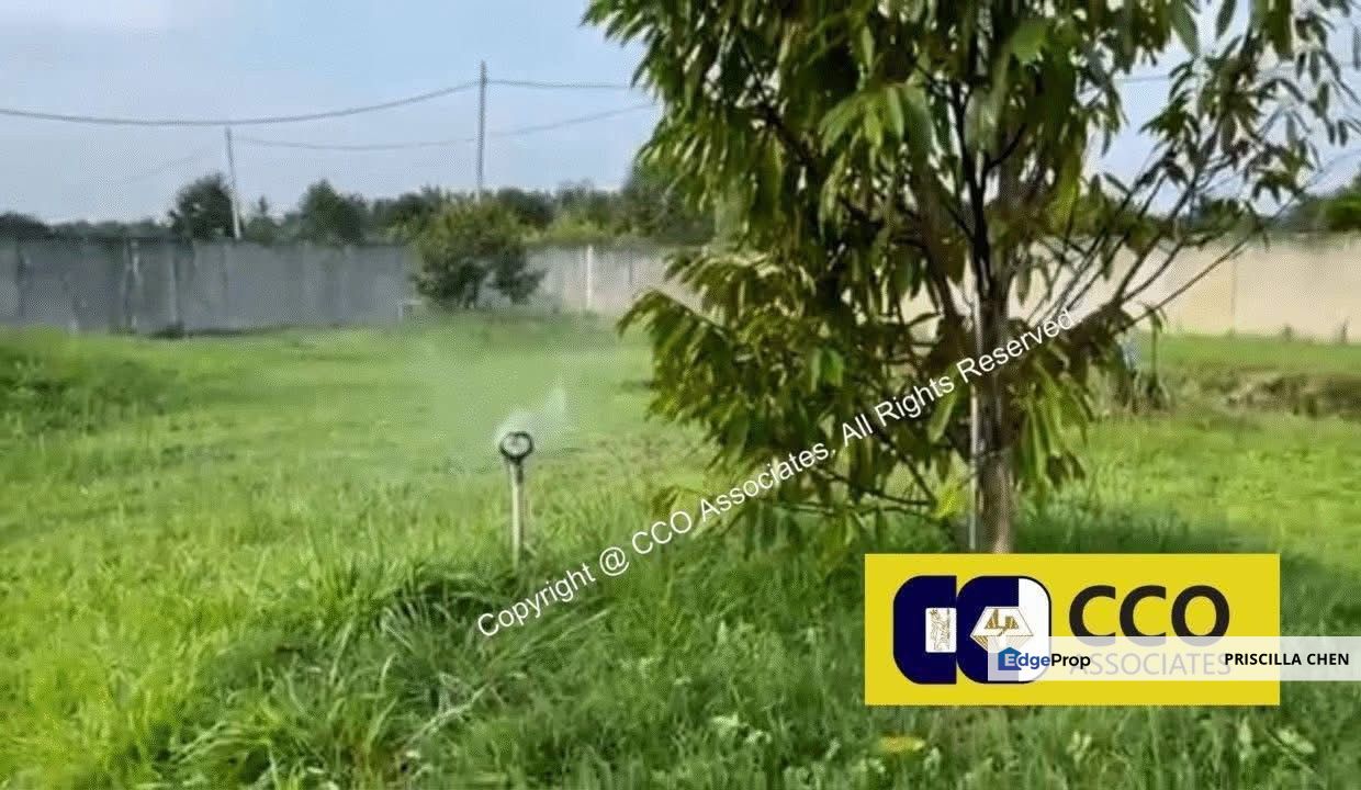 [For Sale] Perak Jeram 2.22 Acre Durian Farm, Perak, Ipoh
