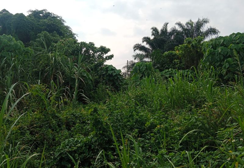 ( Prefered for Bumiputera )