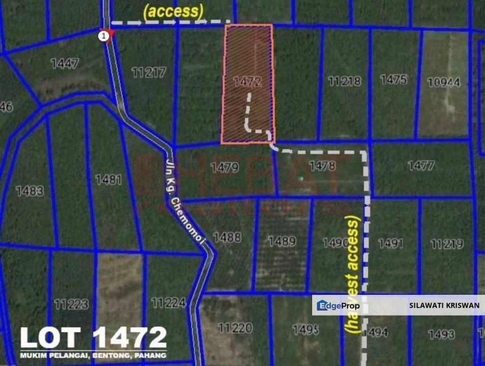 TANAH SAWIT SIMPANG PELANGAI BENTONG FOR SALE TANAH PERTANIAN BEBAS BANJIR FREEHOLD, Pahang, Bentong