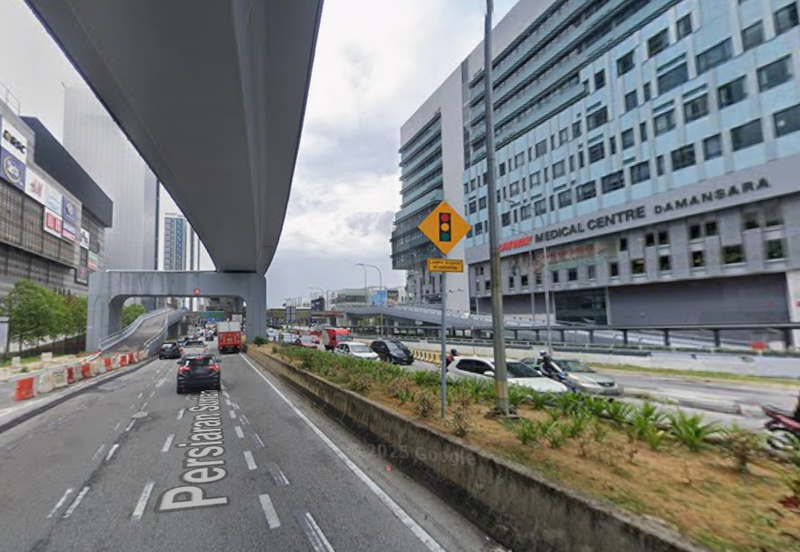 Dianthus @ Tropicana Gardens