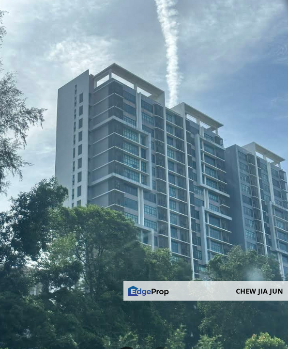 Tropicana Avenue, Tropicana Golf & Country Resort, Petaling Jaya, Selangor, Selangor, Tropicana