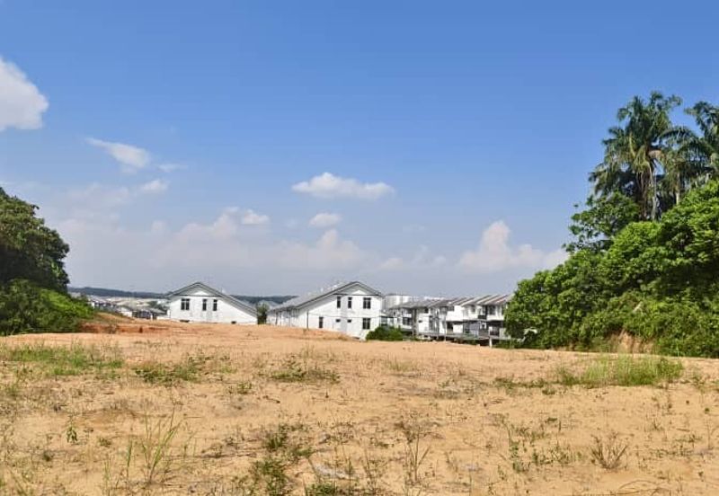 Acacia Taman Pulai Mutiara