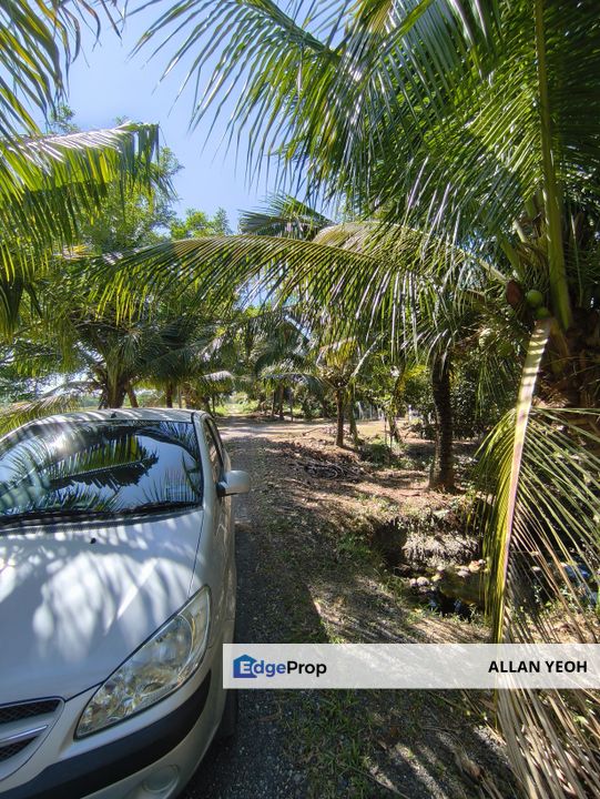 Balik Pulau Bungalow lot for Sales, Penang, Barat Daya