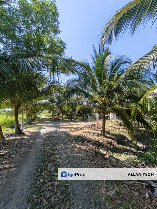 Balik Pulau Bungalow lot for Sales, Penang, Barat Daya