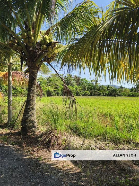 Balik Pulau Bungalow lot for Sales, Penang, Barat Daya