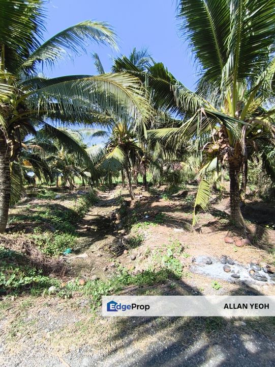 Balik Pulau Bungalow lot for Sales, Penang, Barat Daya