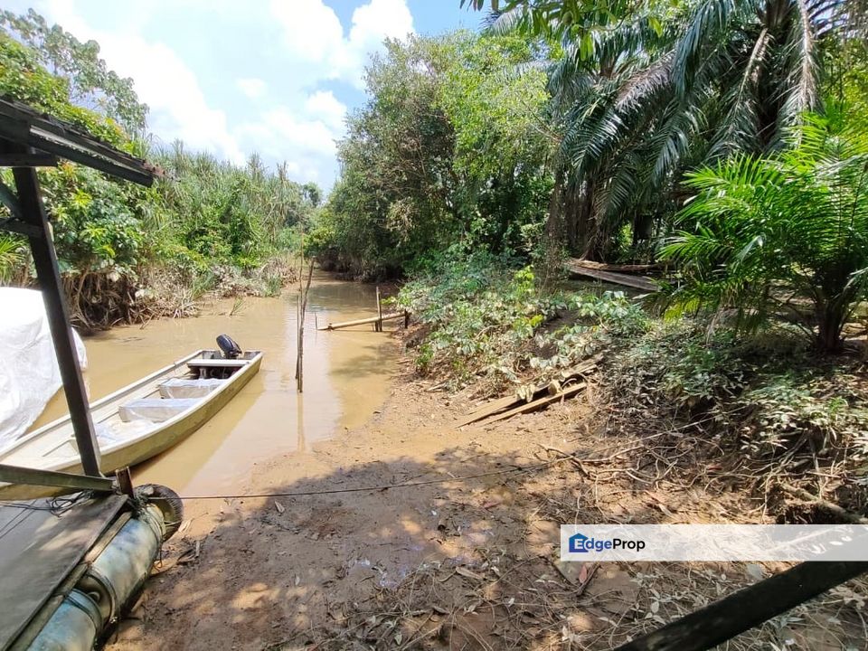 Kota Tinggi 83acre Land for Sale‼️, Johor, Kota Tinggi