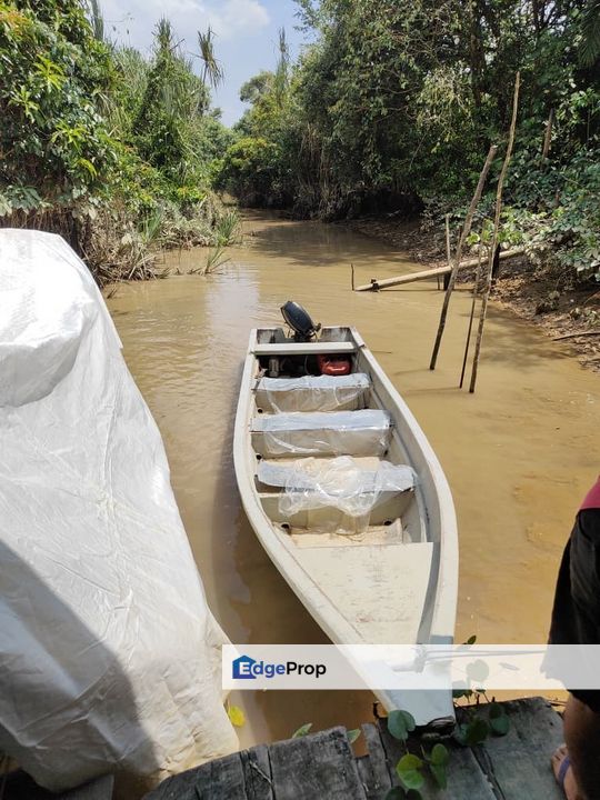 Kota Tinggi 83acre Land for Sale‼️, Johor, Kota Tinggi