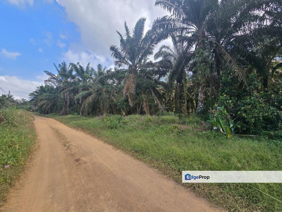 Kulai Seng Kang Land For Sale‼️, Johor, Kulai