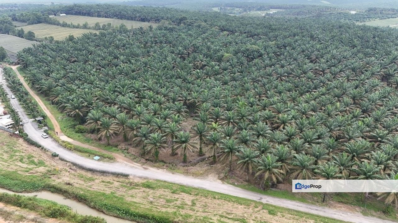 Kulai Seng Kang Land For Sale‼️, Johor, Kulai