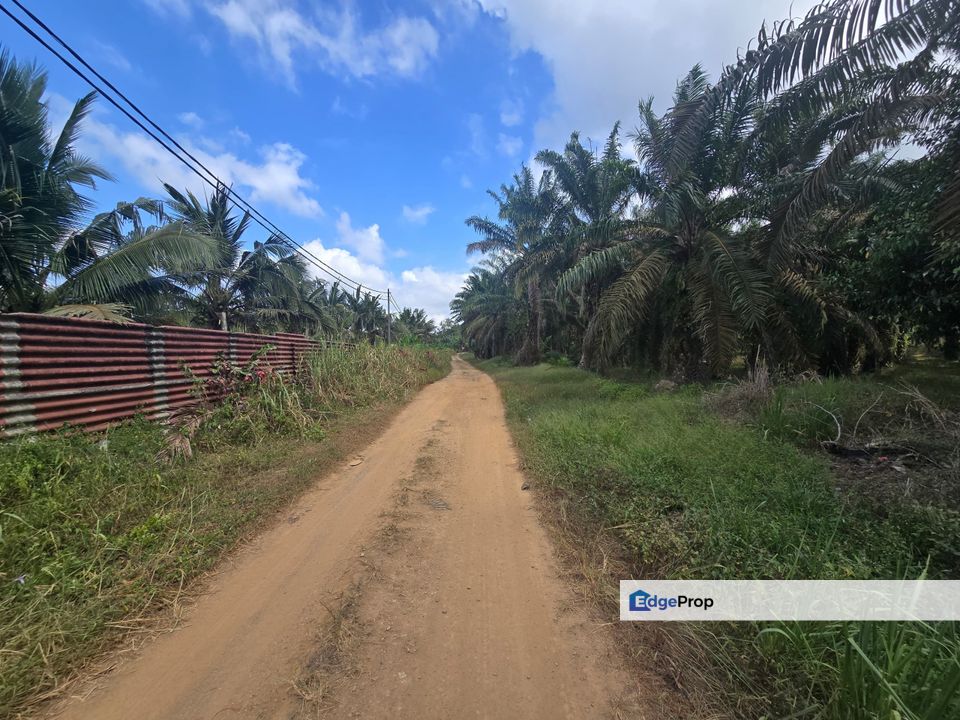 Kulai Seng Kang Land For Sale‼️, Johor, Kulai