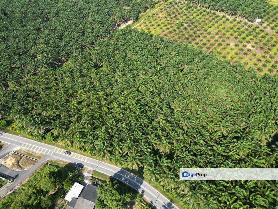 Kota Tinggi Land for Sale‼️, Johor, Kota Tinggi