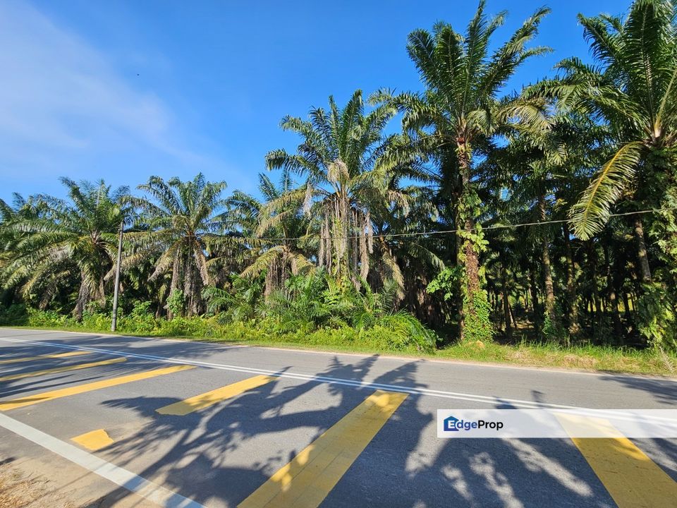 Kota Tinggi Land for Sale‼️, Johor, Kota Tinggi