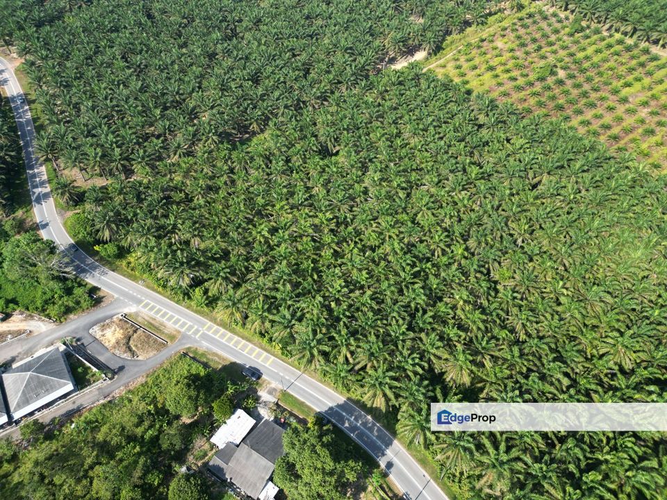 Kota Tinggi Land for Sale‼️, Johor, Kota Tinggi