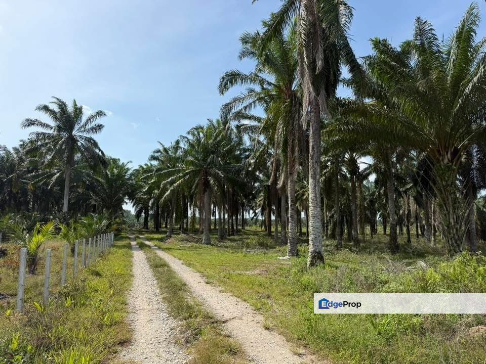 Simpang Renggam Land for Sale‼️, Johor, Kluang