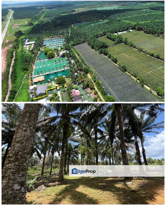 Kulai Sengkang 7.5acre Hot Land for Sale‼️, Johor, Kulai