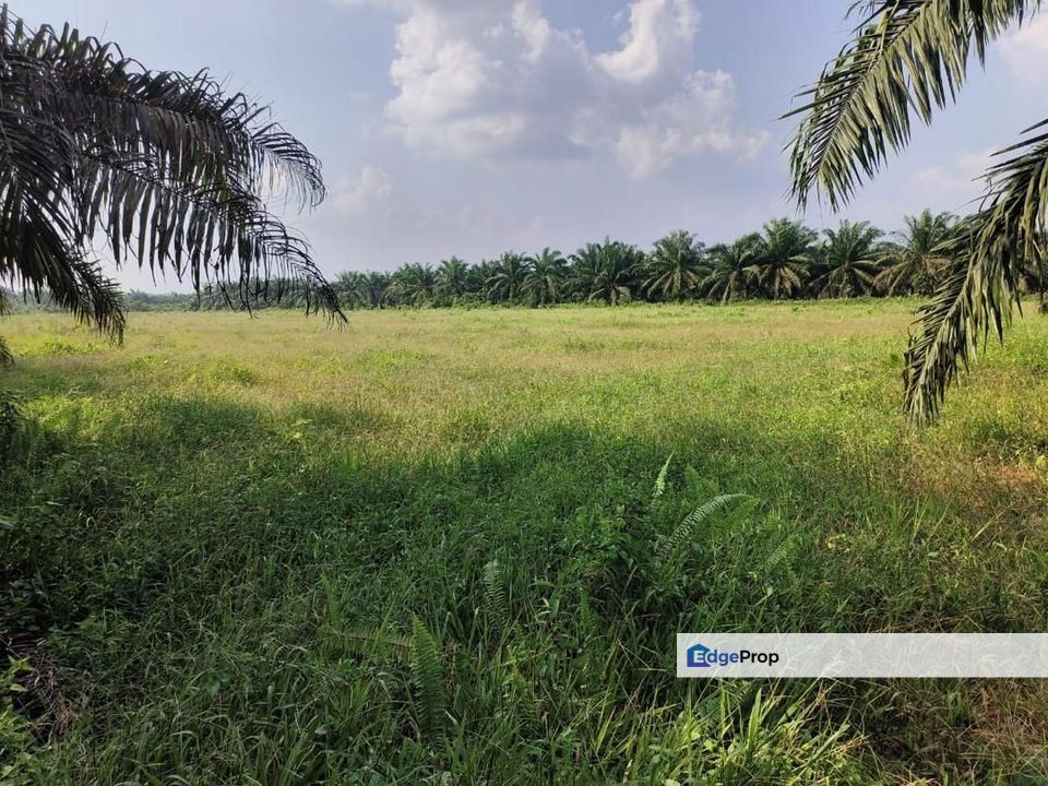 Simpang Renggam 5Acre Land for Sale‼️, Johor, Kluang