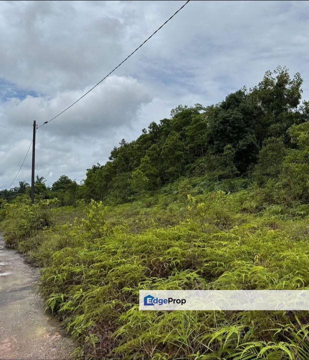 Benut 5Acre Land for Sale‼️, Johor, Pontian