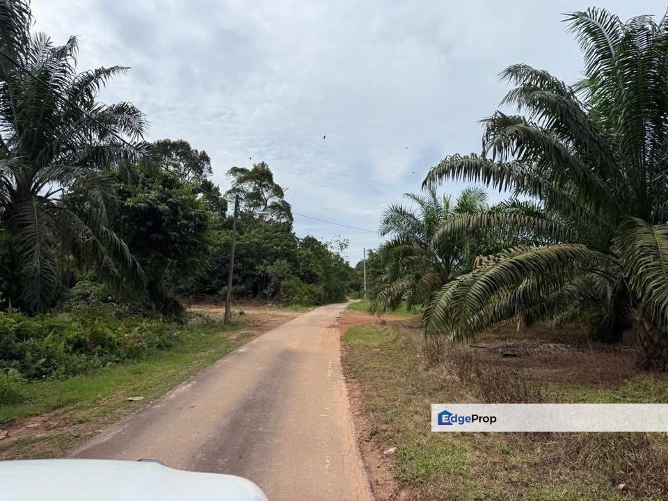 Benut 5Acre Land for Sale‼️, Johor, Pontian