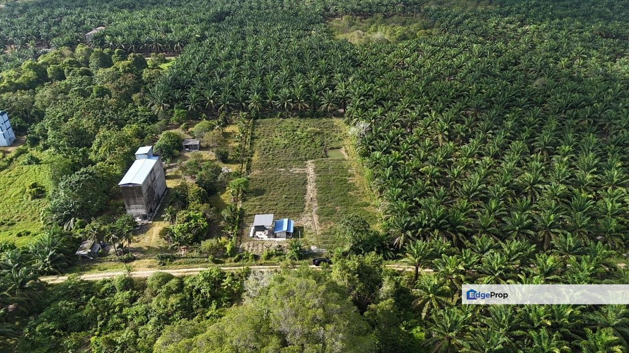 Sedili Kota Tinggi Land for Sale ‼️, Johor, Kota Tinggi